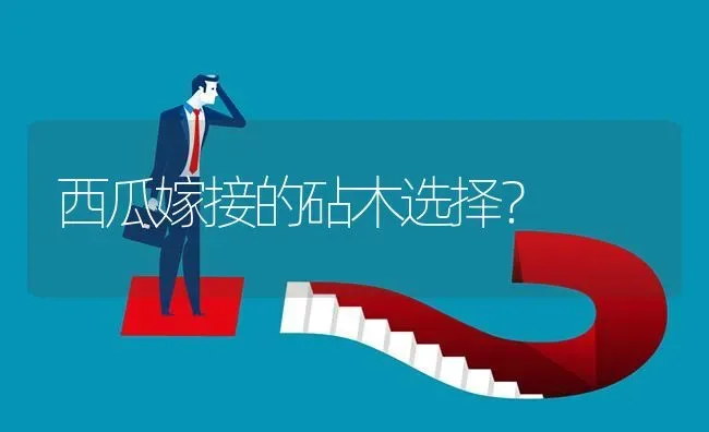 西瓜嫁接的砧木选择? | 养殖问题解答