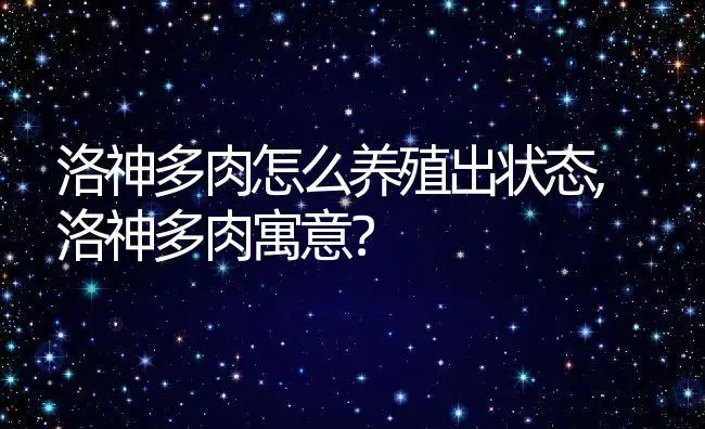 洛神多肉怎么养殖出状态,洛神多肉寓意？ | 养殖常见问题