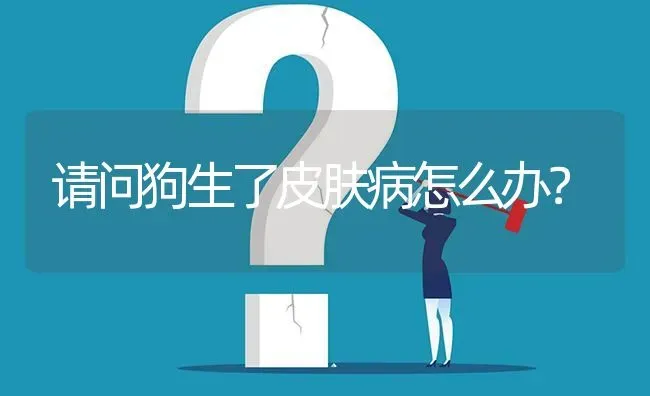 请问狗生了皮肤病怎么办? | 养殖问题解答