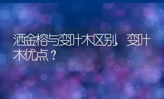 洒金榕与变叶木区别,变叶木优点？ | 养殖常见问题