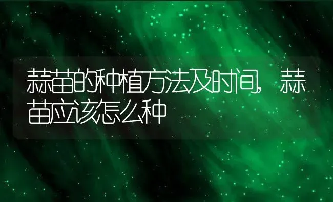 蒜苗的种植方法及时间,蒜苗应该怎么种 | 养殖常见问题