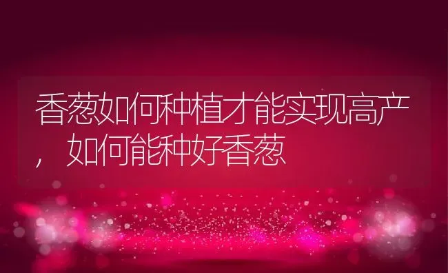 香葱如何种植才能实现高产,如何能种好香葱 | 养殖常见问题