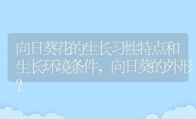 向日葵花的生长习性特点和生长环境条件,向日葵的外形？ | 养殖常见问题