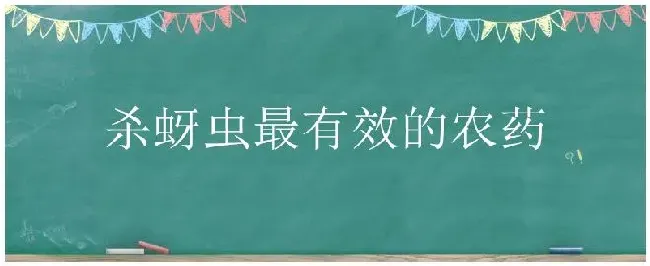 杀蚜虫最有效的农药 | 生活常识