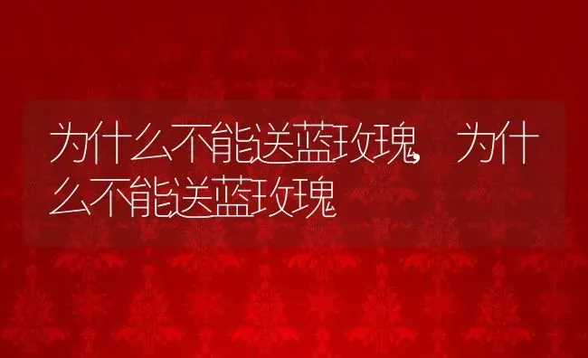 为什么不能送蓝玫瑰,为什么不能送蓝玫瑰 | 养殖常见问题