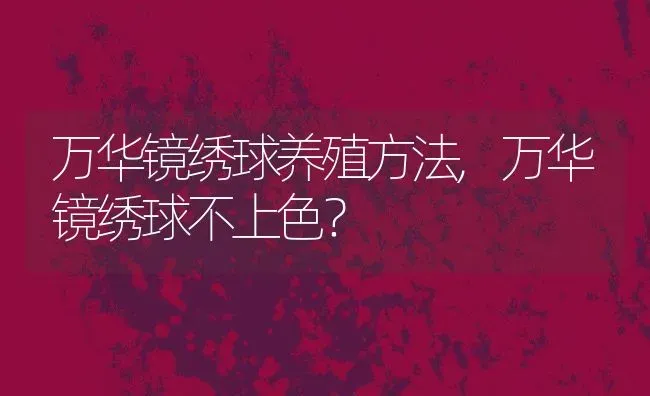 万华镜绣球养殖方法,万华镜绣球不上色？ | 养殖常见问题