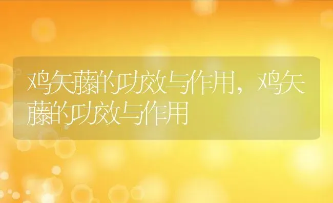 鸡矢藤的功效与作用,鸡矢藤的功效与作用 | 养殖常见问题