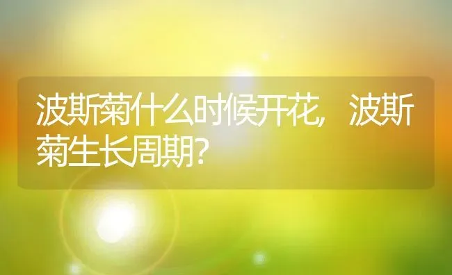 波斯菊什么时候开花,波斯菊生长周期？ | 养殖常见问题