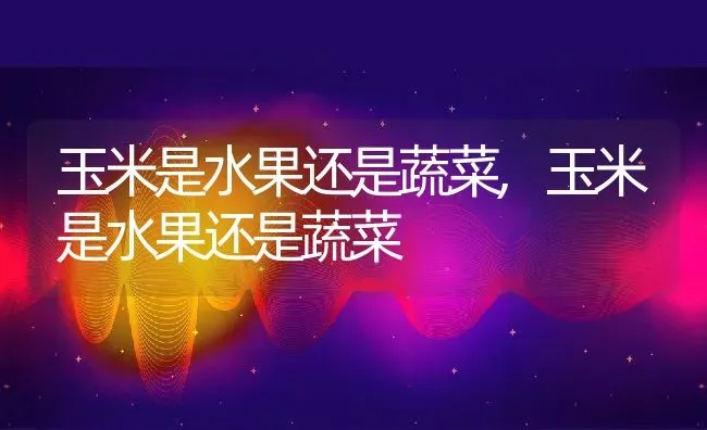 玉米是水果还是蔬菜,玉米是水果还是蔬菜 | 养殖常见问题