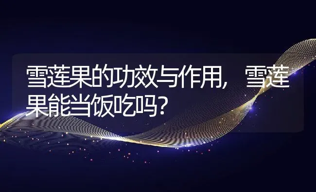 雪莲果的功效与作用,雪莲果能当饭吃吗？ | 养殖常见问题