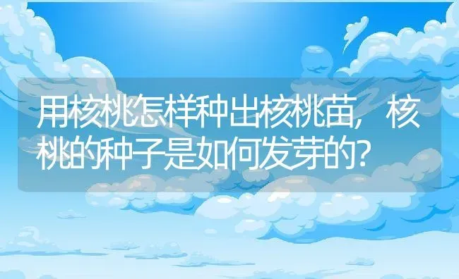 用核桃怎样种出核桃苗,核桃的种子是如何发芽的？ | 养殖常见问题