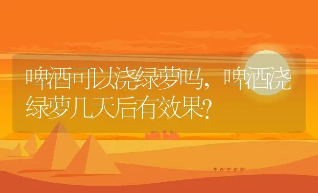 啤酒可以浇绿萝吗,啤酒浇绿萝几天后有效果？ | 养殖常见问题