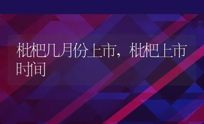 枇杷几月份上市,枇杷上市时间 | 养殖常见问题