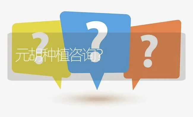 元胡种植咨询? | 养殖问题解答