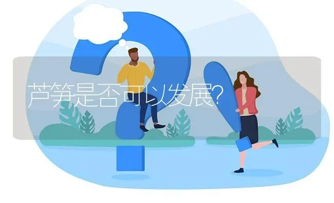 芦笋是否可以发展? | 养殖问题解答