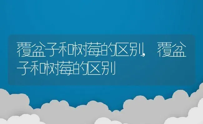 覆盆子和树莓的区别,覆盆子和树莓的区别 | 养殖常见问题