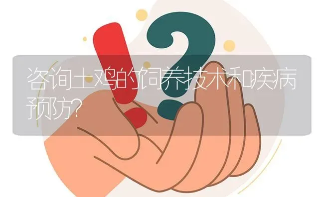 咨询土鸡的饲养技术和疾病预防? | 养殖问题解答
