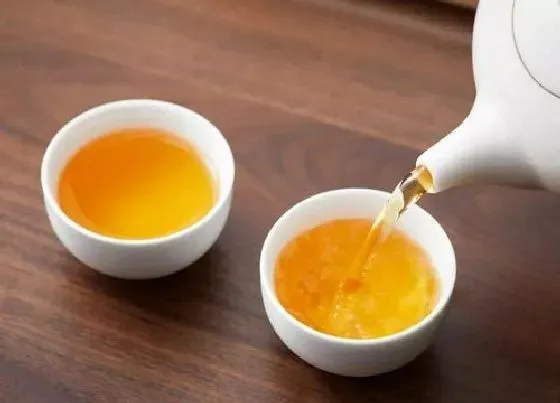 植物常识问题|冬天喝什么花茶好 女人冬季喝什么花茶排毒养颜