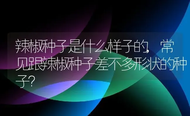 辣椒种子是什么样子的,常见跟辣椒种子差不多形状的种子？ | 养殖常见问题