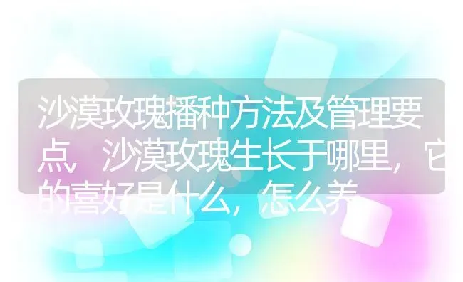 沙漠玫瑰播种方法及管理要点,沙漠玫瑰生长于哪里，它的喜好是什么，怎么养 | 养殖常见问题