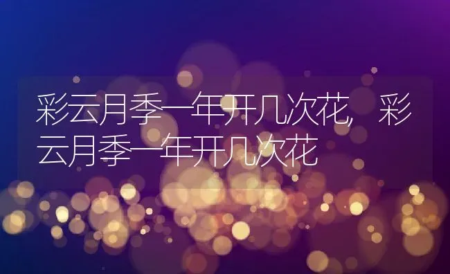 彩云月季一年开几次花,彩云月季一年开几次花 | 养殖常见问题