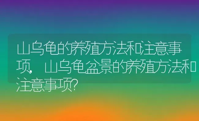 山乌龟的养殖方法和注意事项,山乌龟盆景的养殖方法和注意事项？ | 养殖常见问题