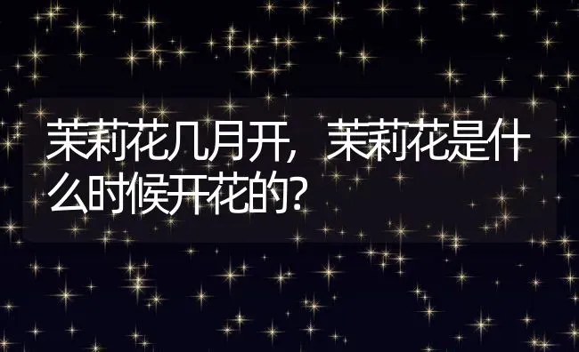 茉莉花几月开,茉莉花是什么时候开花的？ | 养殖常见问题