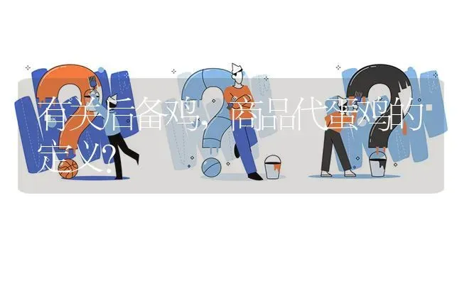 有关后备鸡,商品代蛋鸡的定义? | 养殖问题解答