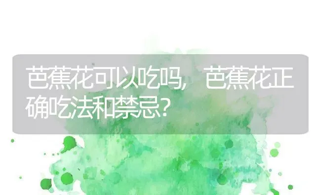 芭蕉花可以吃吗,芭蕉花正确吃法和禁忌？ | 养殖常见问题