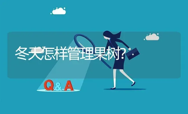 冬天怎样管理果树? | 养殖问题解答