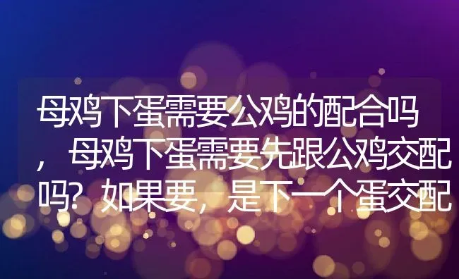 母鸡下蛋需要公鸡的配合吗,母鸡下蛋需要先跟公鸡交配吗?如果要，是下一个蛋交配一次吗？ | 养殖常见问题