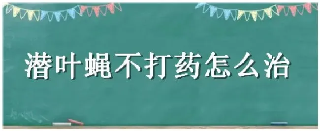 潜叶蝇不打药怎么治 | 科普知识