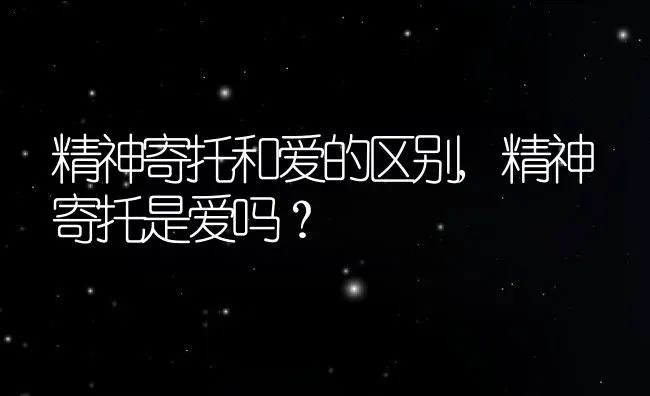 精神寄托和爱的区别,精神寄托是爱吗？ | 养殖常见问题