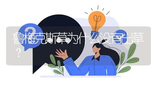 鲁梅克斯草为什么没有出草? | 养殖问题解答