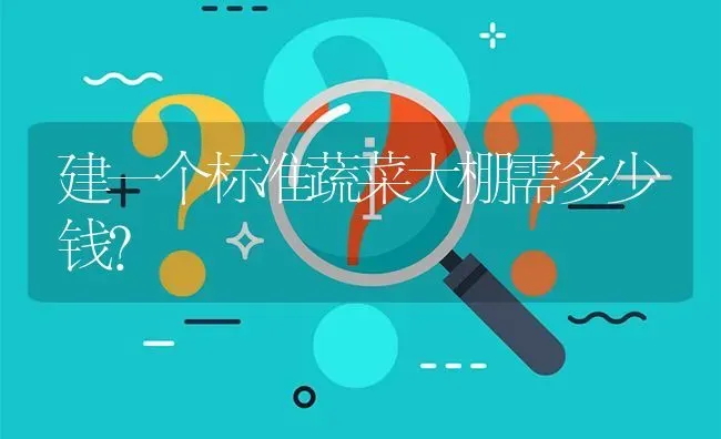 建一个标准蔬菜大棚需多少钱? | 养殖问题解答