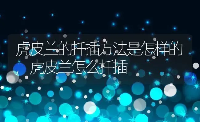 虎皮兰的扦插方法是怎样的,虎皮兰怎么扦插 | 养殖常见问题