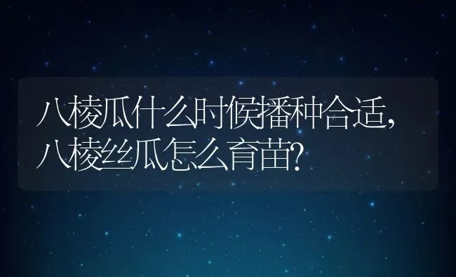 八棱瓜什么时候播种合适,八棱丝瓜怎么育苗？ | 养殖常见问题