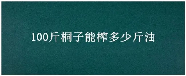 100斤桐子能榨多少斤油 | 农业常识