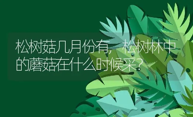 松树菇几月份有,松树林中的蘑菇在什么时候采？ | 养殖常见问题