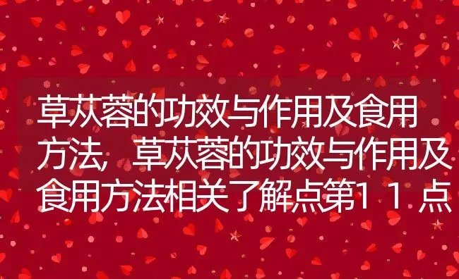 草苁蓉的功效与作用及食用方法,草苁蓉的功效与作用及食用方法相关了解点第11点 | 养殖常见问题