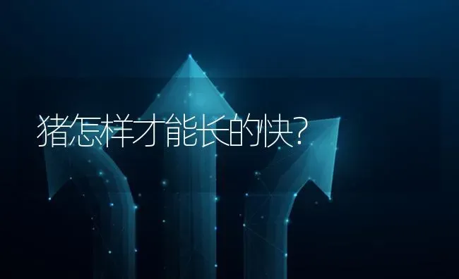 猪怎样才能长的快? | 养殖问题解答