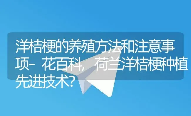 洋桔梗的养殖方法和注意事项–花百科,荷兰洋桔梗种植先进技术？ | 养殖常见问题