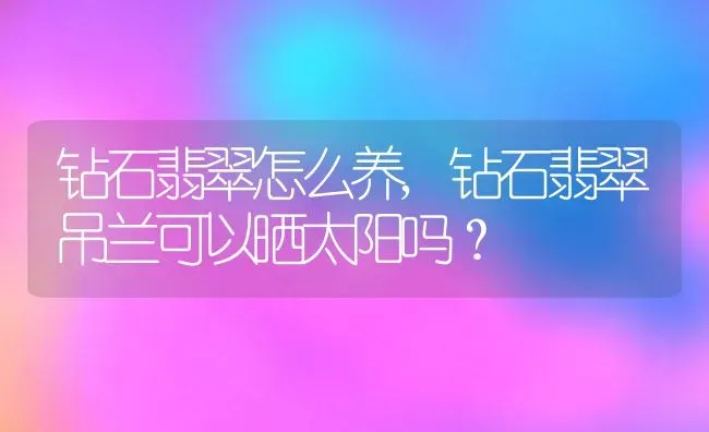 钻石翡翠怎么养,钻石翡翠吊兰可以晒太阳吗？ | 养殖常见问题