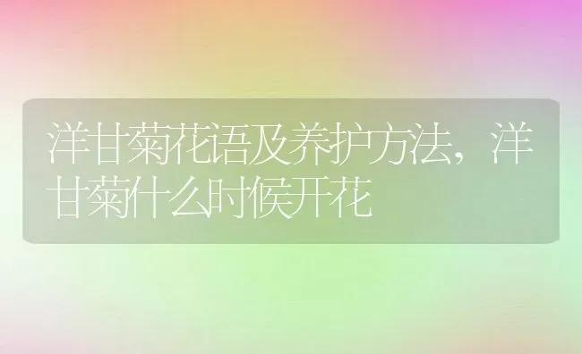 洋甘菊花语及养护方法,洋甘菊什么时候开花 | 养殖常见问题