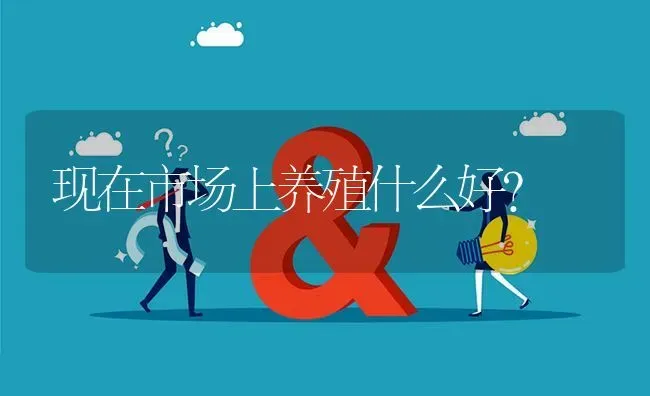 现在市场上养殖什么好? | 养殖问题解答