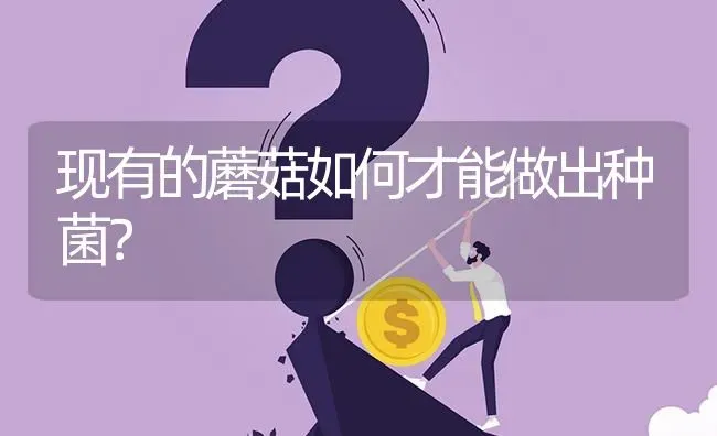 现有的蘑菇如何才能做出种菌? | 养殖问题解答