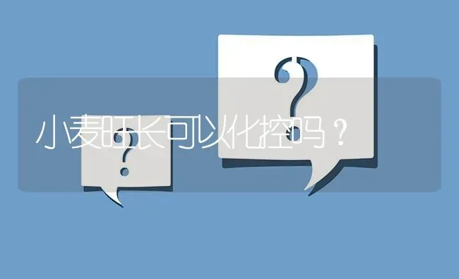 小麦旺长可以化控吗? | 养殖问题解答