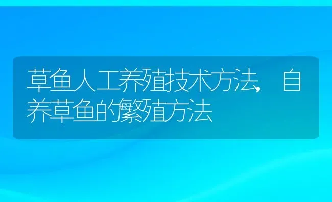 草鱼人工养殖技术方法,自养草鱼的繁殖方法 | 养殖常见问题