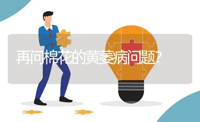 再问棉花的黄萎病问题? | 养殖问题解答
