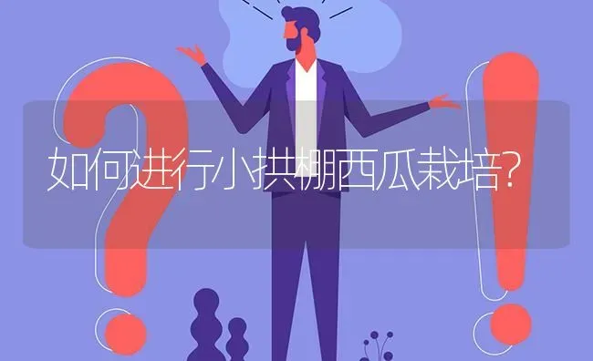 如何进行小拱棚西瓜栽培? | 养殖问题解答